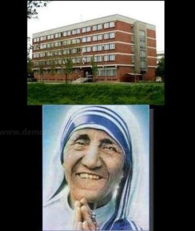 Napi brutál - Koleszterin