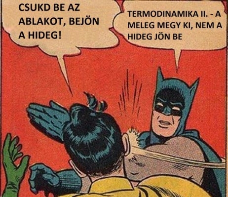 Bölcsész bérlőtárs . . .