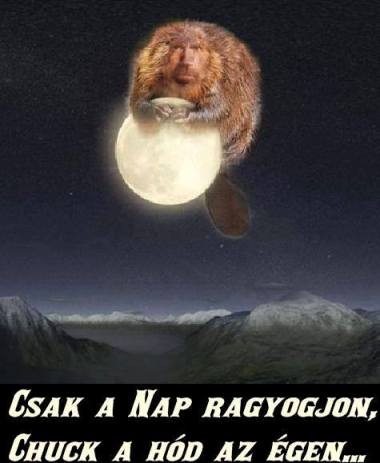 Vasárnapi zsibbasztó