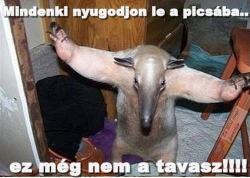 Hosszabbodnak a nappalok