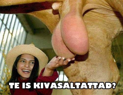 Már az állatkertbe is eljutott a hír...