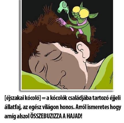 Téged is elkaphat amikor alszol