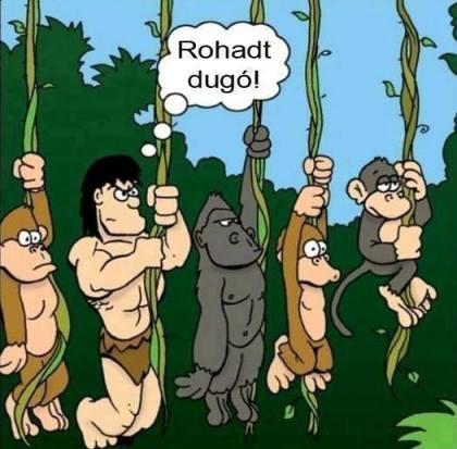 Hétfön melóba menet