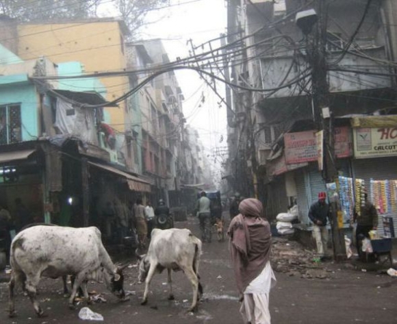 Így is lehet élni . . .