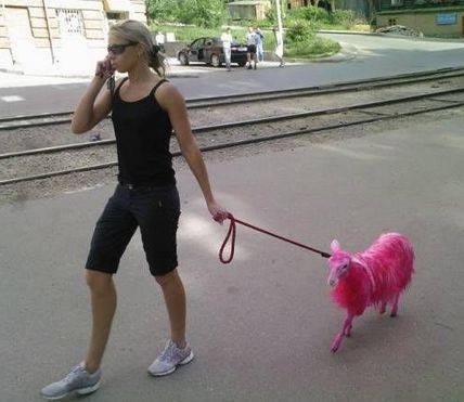 Egyedi akart lenni a picsuka