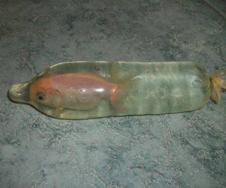 Ez is egy lehetőség, ha nem futja akváriumra...