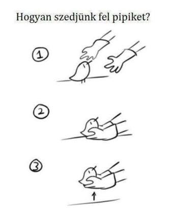 Ha nem sikerült a hétvégén becsajozni...