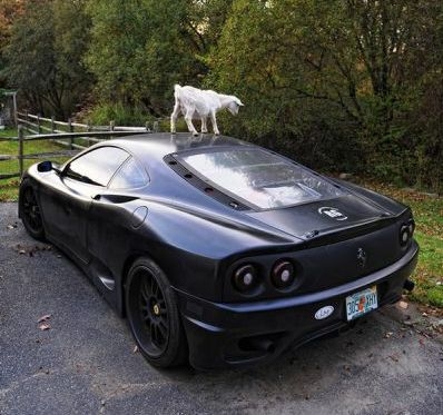 Ez a méreg, nem a cián