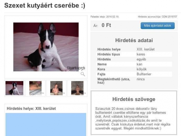 Napi apró
