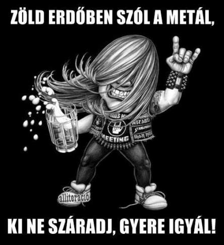 Napi tennivaló