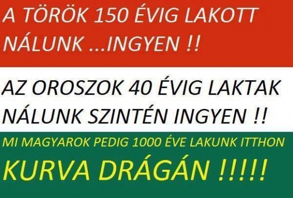 Napi tényfeltáró