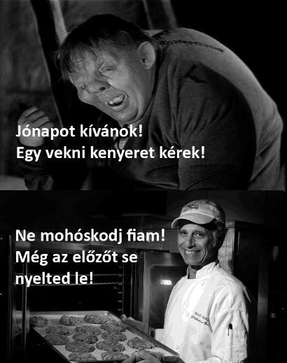 Napi genyó