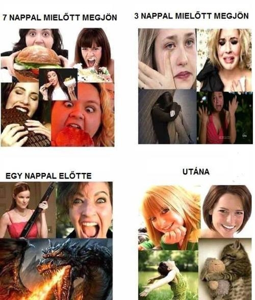 Mielőtt megjön . . .