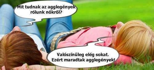 Napi igazságosztó