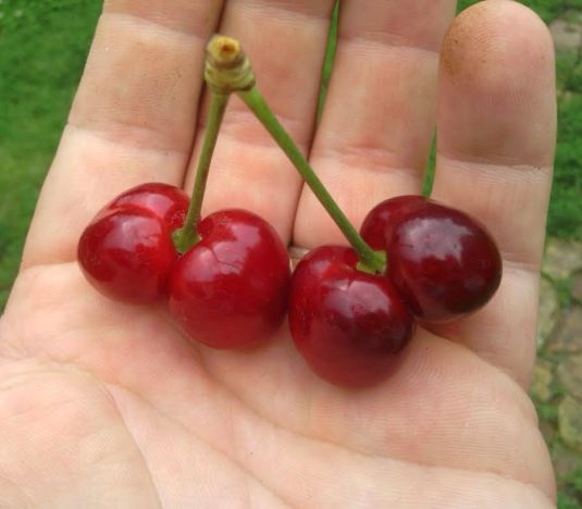 Magyarország jobban teljesít!