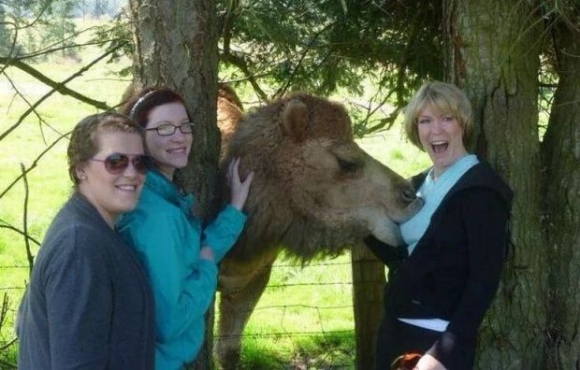 Rácuppant a cickóra