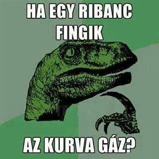 Napi kérdés