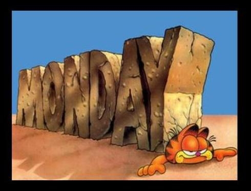 Indul a mókuskerék