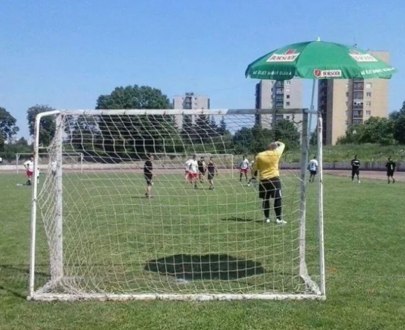 Okos kapusnak esze van . . .