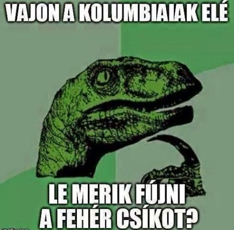 Felmerült egy kérdés a foci VB-n . . .