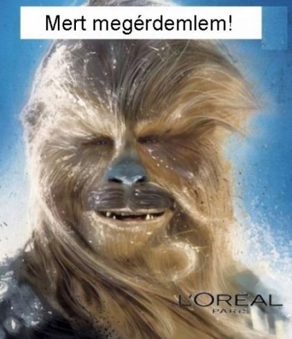 L\'Oréal Párizs