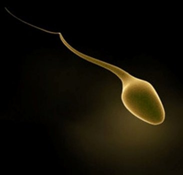 Tiszta apja ez a gyerek