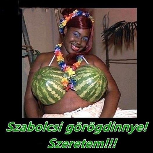 Végre, itt a dinnyeszezon!