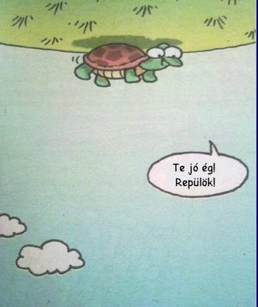 Mindig csak pozitívan !