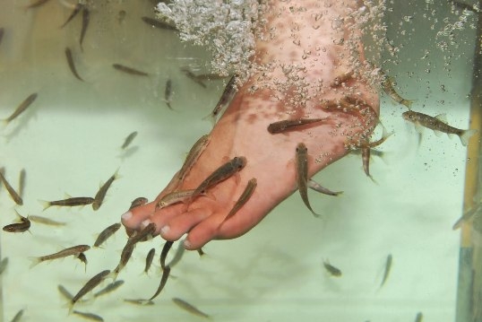 A nap tippje - Halpedikür