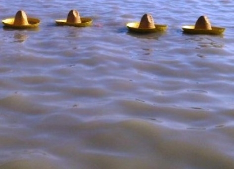 Illegális bevándorlás