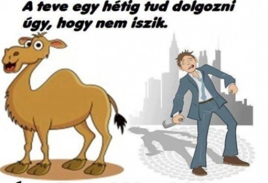 Nem vagyunk egyformák