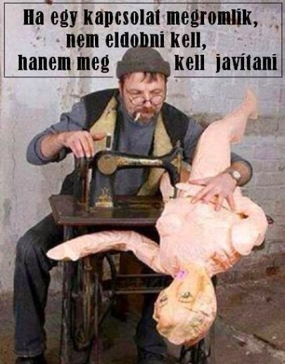 Párkapcsolati tanács