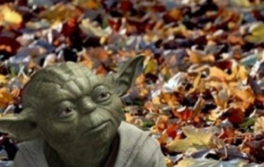 Avart érzek az erőben