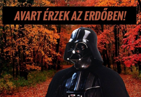 Ősz van...