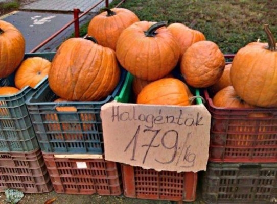 Nappal kadmium sárgán pislákol...