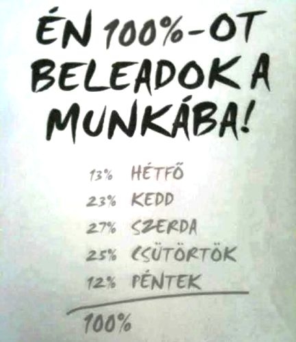 A mai napi tennivaló - 23 %