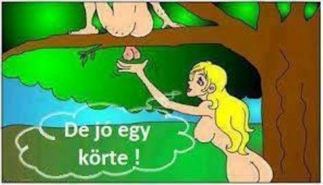 Táplálkozástudományi rovat