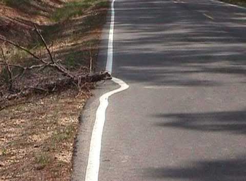 Ha a lustaság fájna...