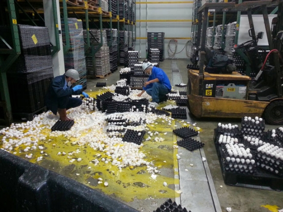 Nekik szarul indult a nap