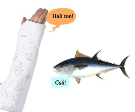 Definíció - gipszkartonozik