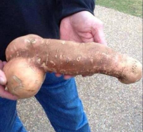 Na, ebből ma főzünk egy fasza krumplilevest