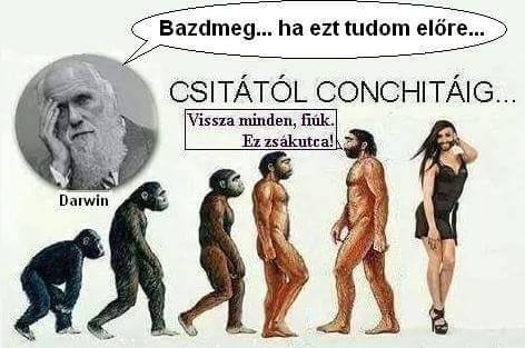 Amikor elakad az evolúció