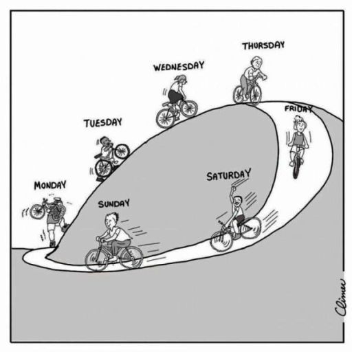 Újra indul a mókuskerék