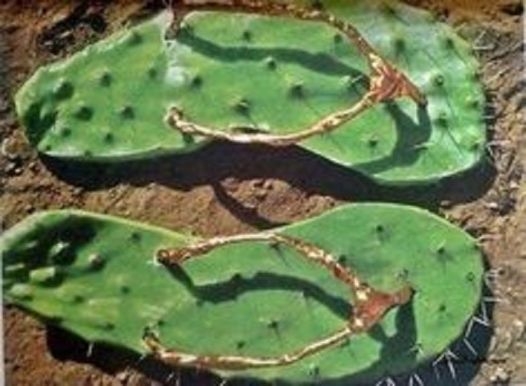 Hétvégén lesz anyósom szülinapja...