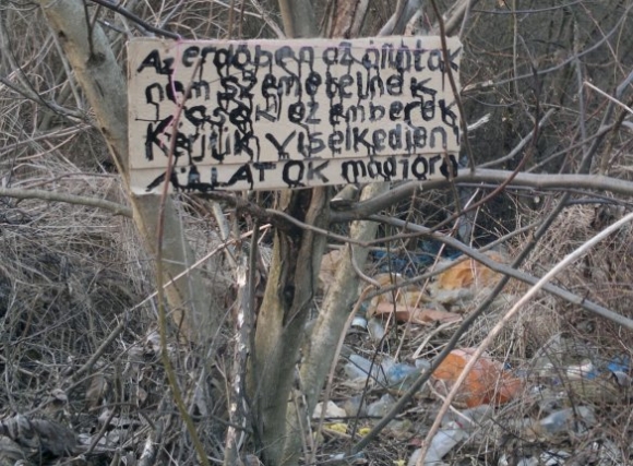 Eközben Salgótarjánban...