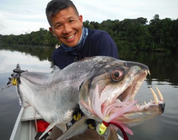 Táplálkozási tanács