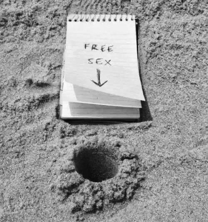 Egy ingyenes ajánlat