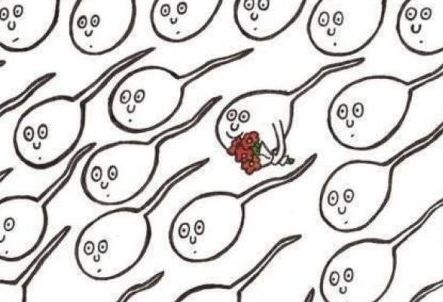 Úriembernek születni kell...