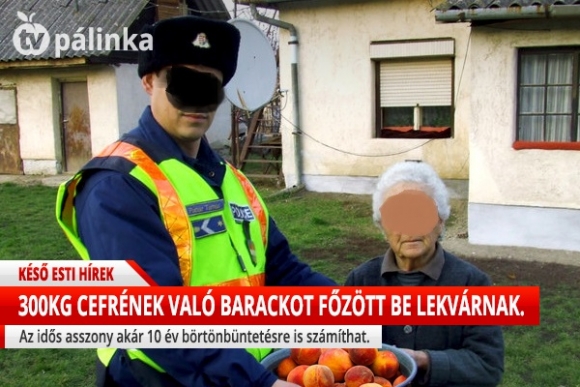 TV Pálinka - Kék hírek