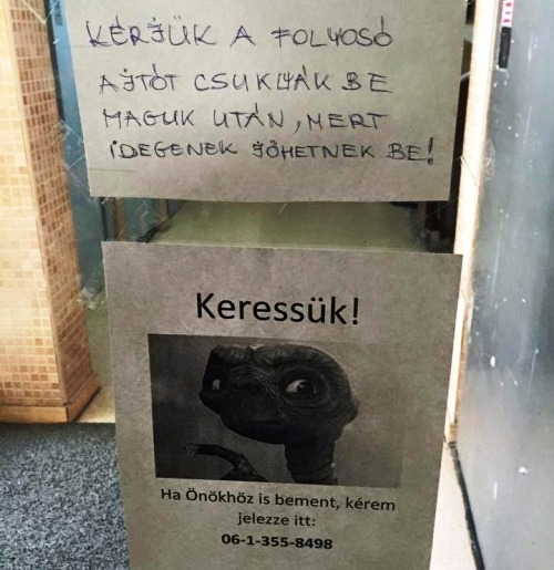 Kedves szomszédok!